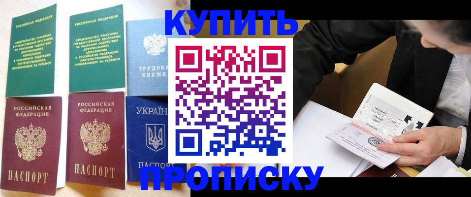 прописка для школы в Гатчине